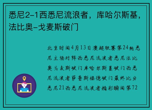 悉尼2-1西悉尼流浪者，库哈尔斯基，法比奥-戈麦斯破门
